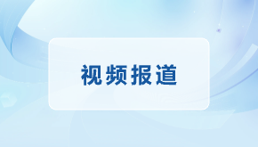 视频 | 莆田：十余万株蝴蝶兰花开正艳 备战年宵花市场