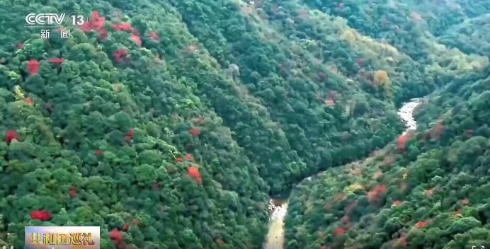 视频 | 武夷山公园的生态“圈子”