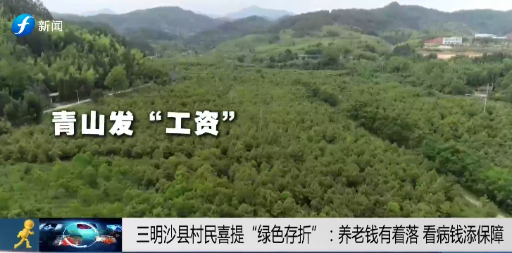 视频 | 两会好声音 民生温度计——青山发“工资”怎么花？