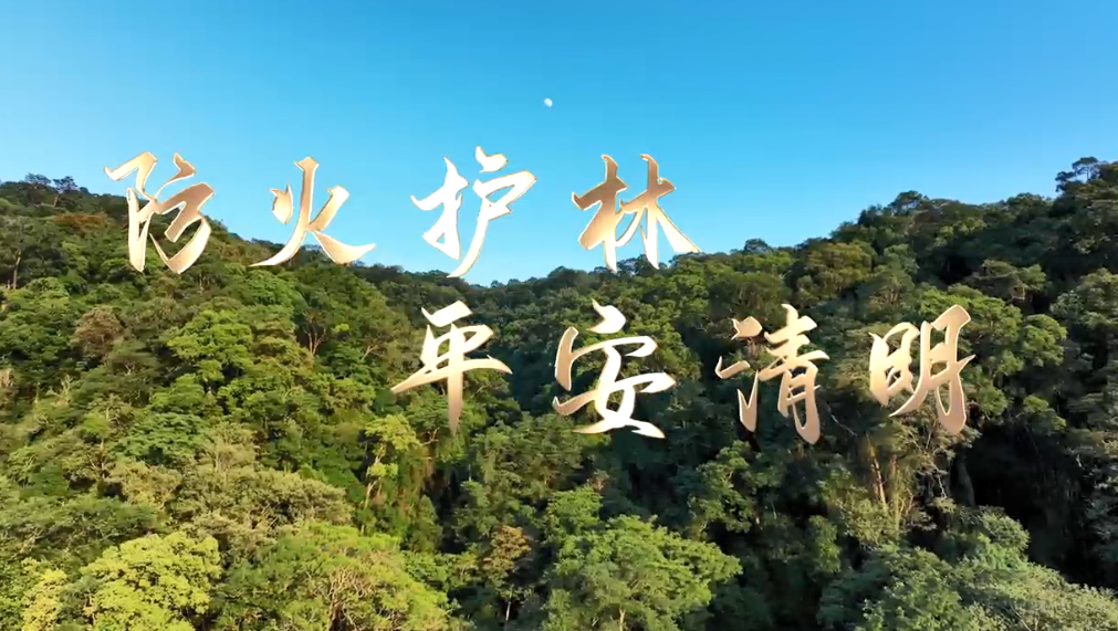 清明节森林防火宣传视频