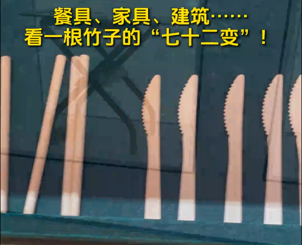 福建邵武：如何“榨干”一根竹子