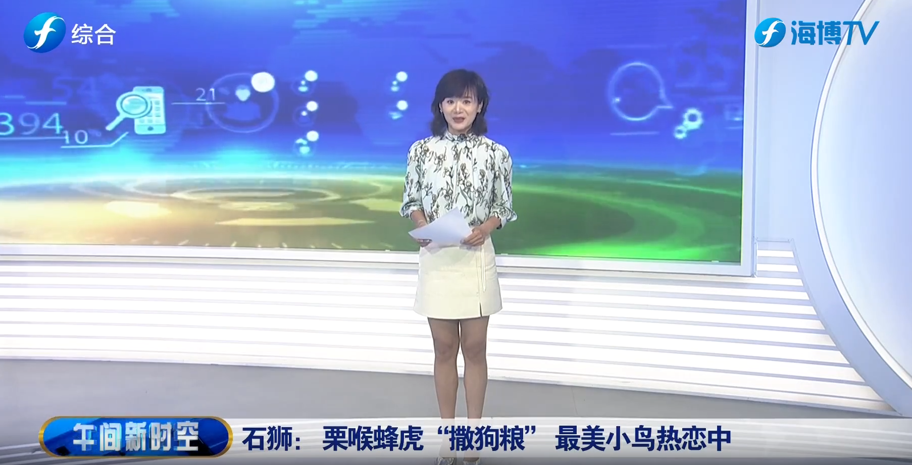 视频 | 石狮：栗喉蜂虎“撒狗粮” 最美小鸟热恋中