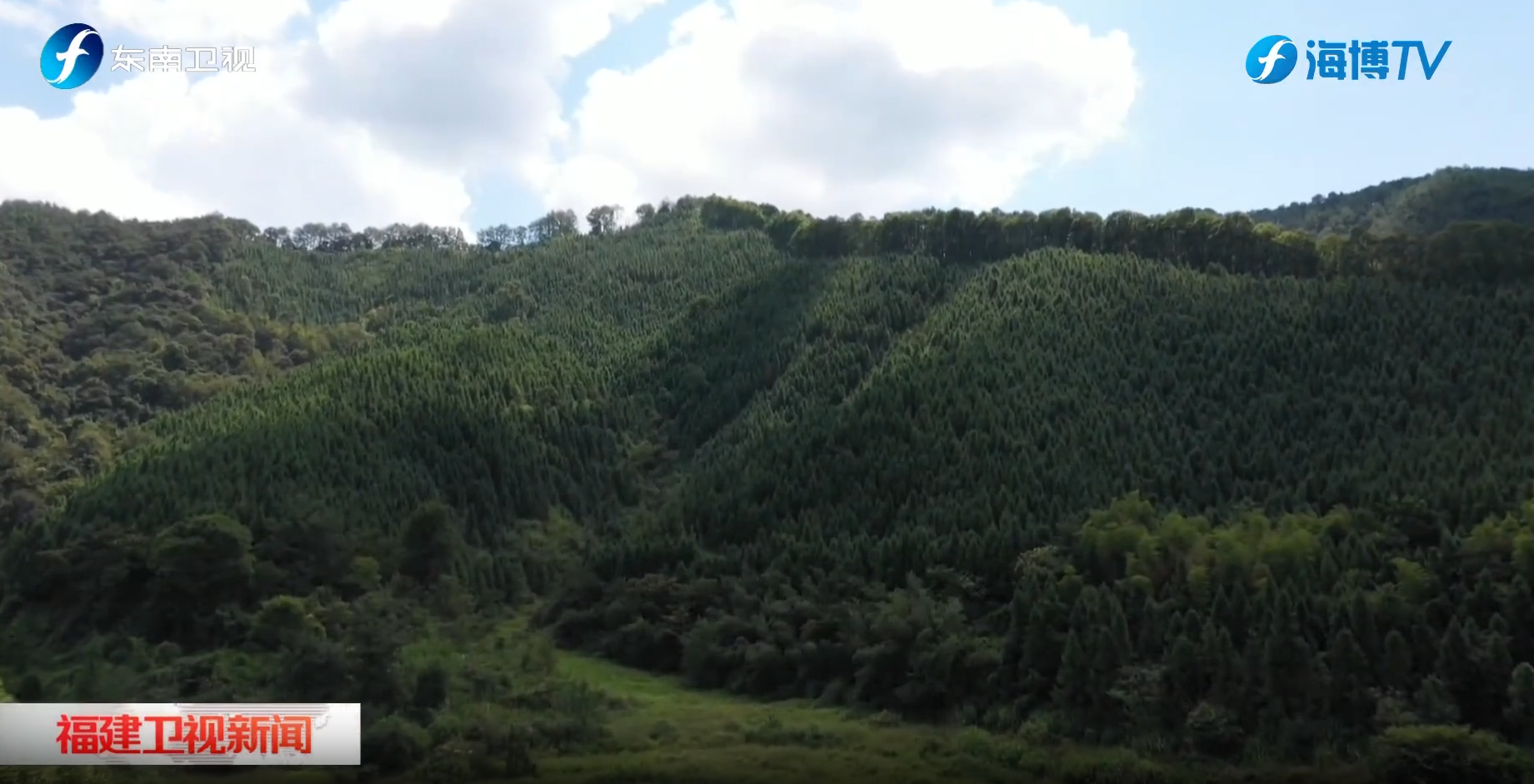 视频 | 三明：林业碳票跨区域交易 拓宽生态价值转化路径