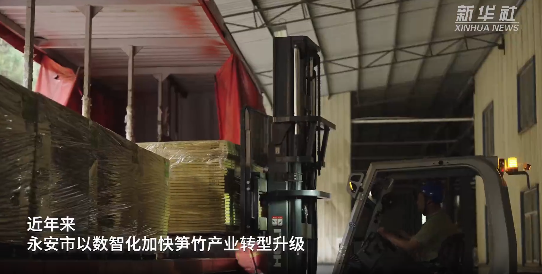 福建永安：数智化加快笋竹产业转型升级