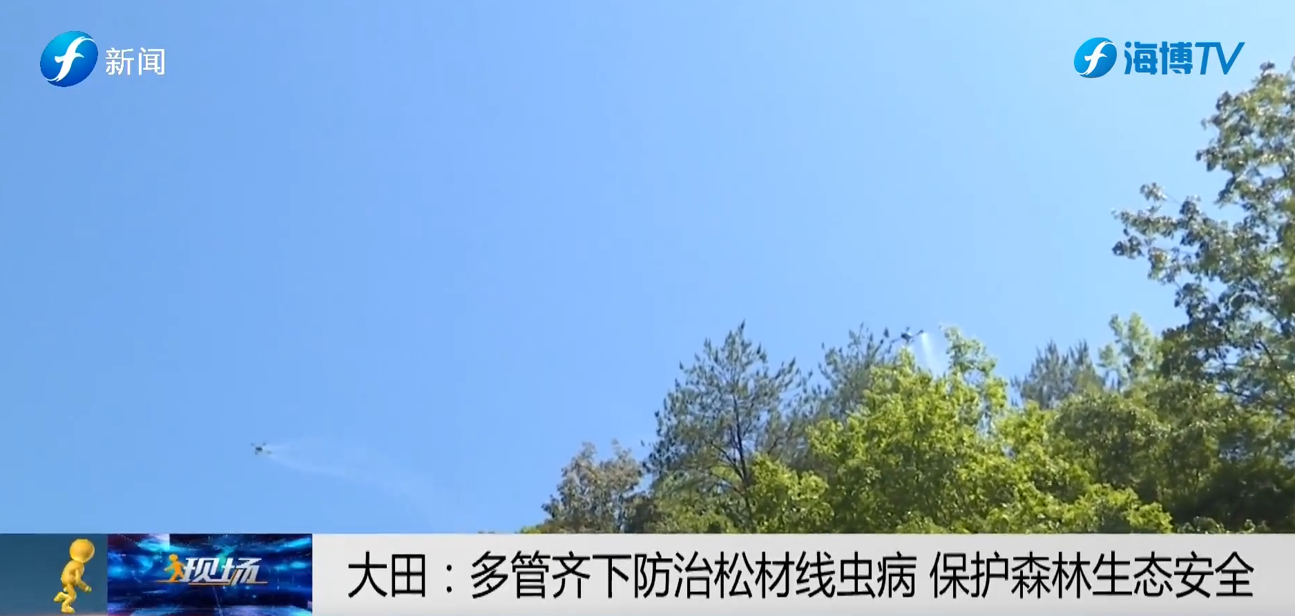 视频 | 大田：多管齐下防治松材线虫病 保护森林生态安全