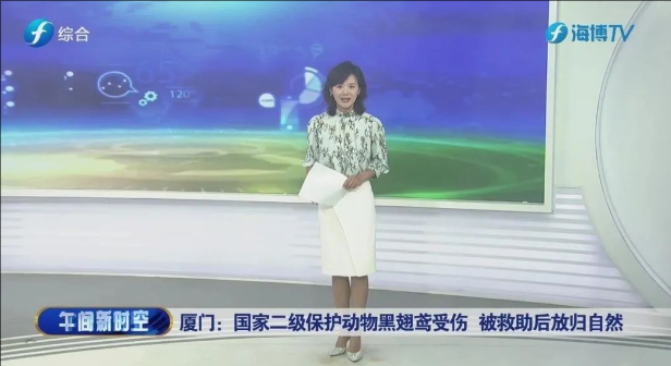 视频 | 厦门：国家二级保护动物黑翅鸢受伤 被救助后放归自然