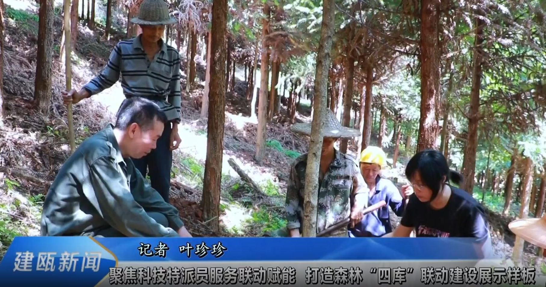 【视频】聚焦科技特派员服务联动赋能 打造森林“四库”联动建设展示样板