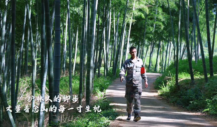 视频 | 护林员的一天