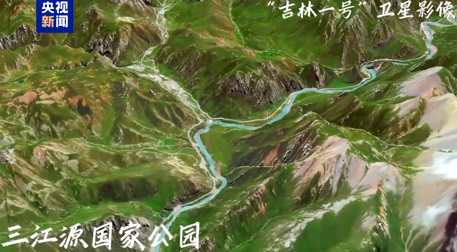 虎豹翻倍 猿声重现！卫星俯瞰中国“最美国土”生灵复苏