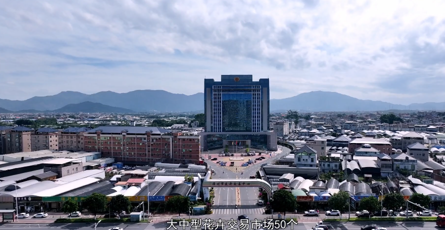 千亿闽花 绚丽绽放