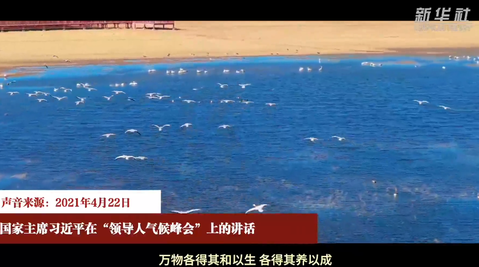 微视频｜守护“地球之肾”