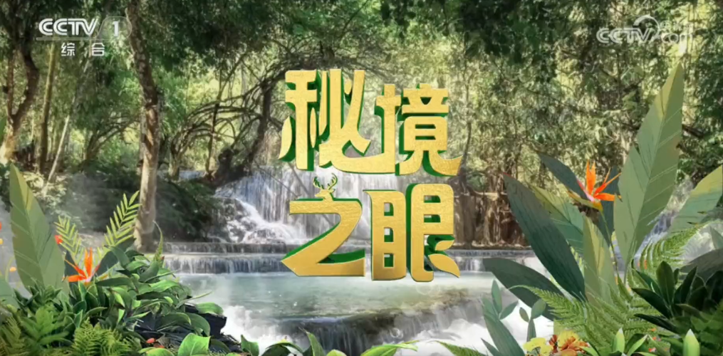 视频 | 《秘境之眼》——穿山甲