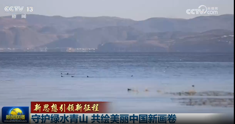 视频 | 守护绿水青山 共绘美丽中国新画卷