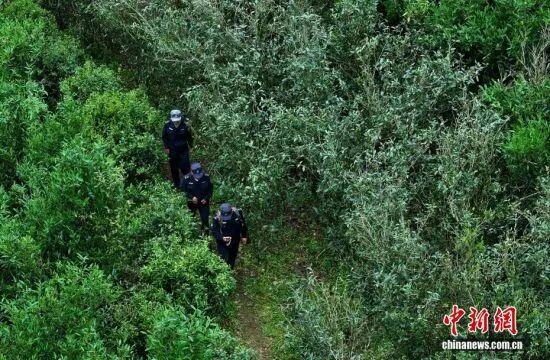 图为5月8日，护林员正在巡山。（无人机照片）中新社记者 王东明 摄