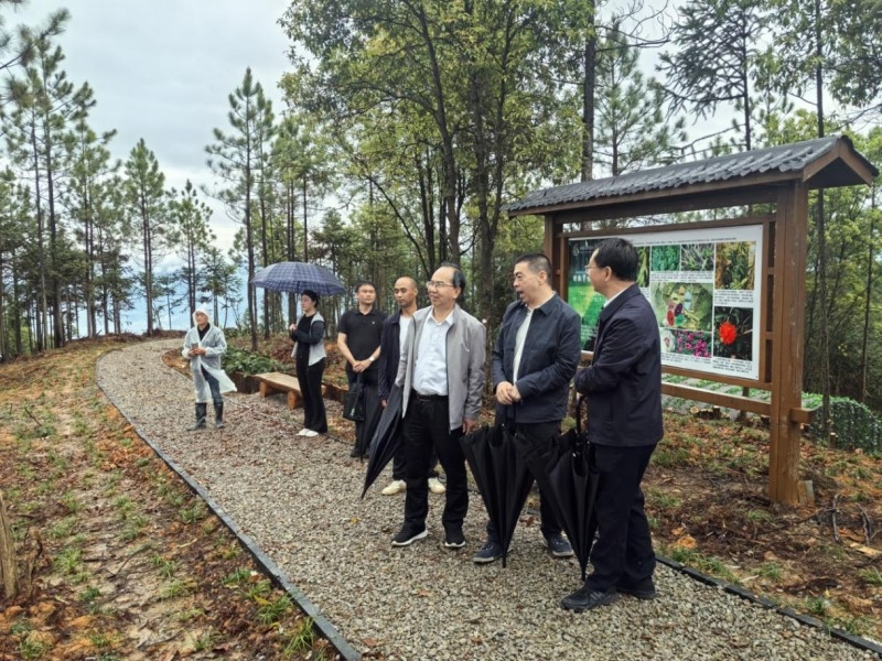 省林业局领导赴闽清县调研指导林下经济工作