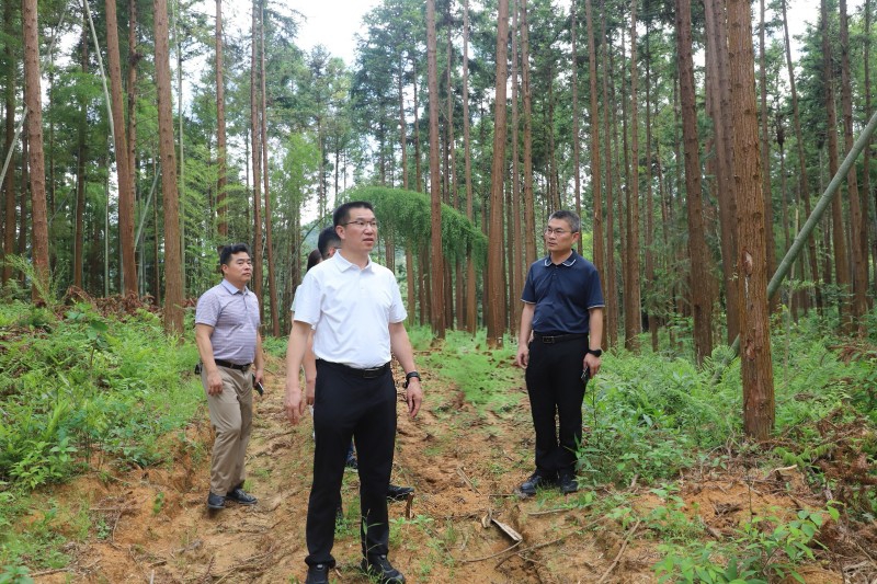 福建省林业局领导赴建瓯市开展指导服务