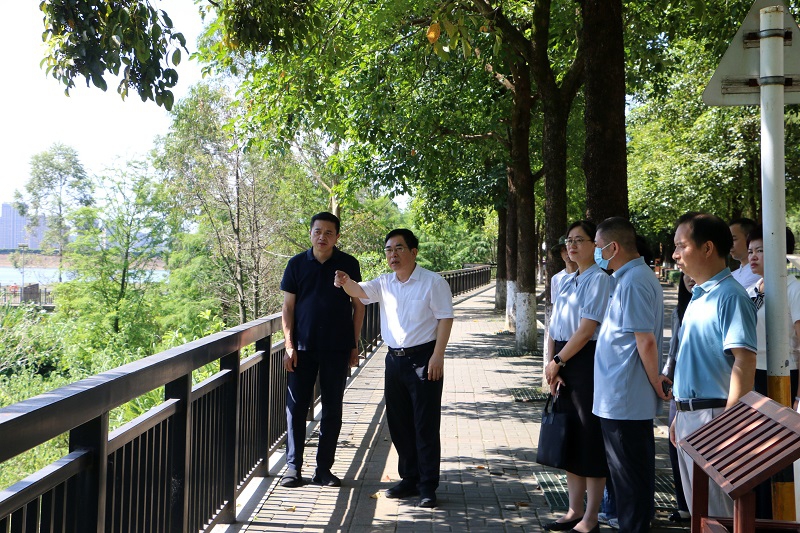 福建省林业局领导赴福州植物园检查指导第9号台风“巴威”防御工作